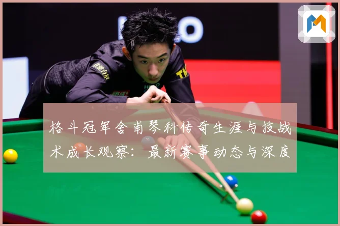 格斗冠军舍甫琴科传奇生涯与技战术成长观察：最新赛事动态与深度分析