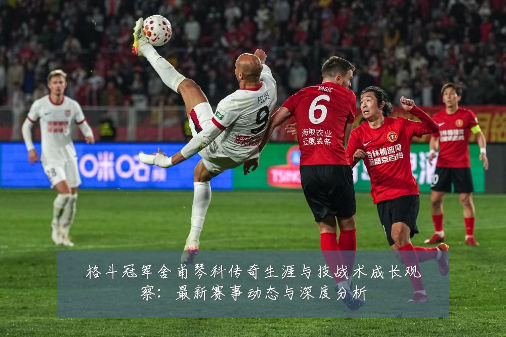 格斗冠军舍甫琴科传奇生涯与技战术成长观察：最新赛事动态与深度分析